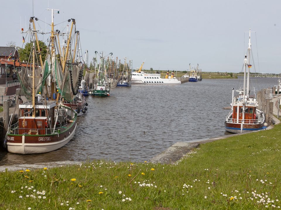 Vertäute Fischerboote am begrünten Ufer.