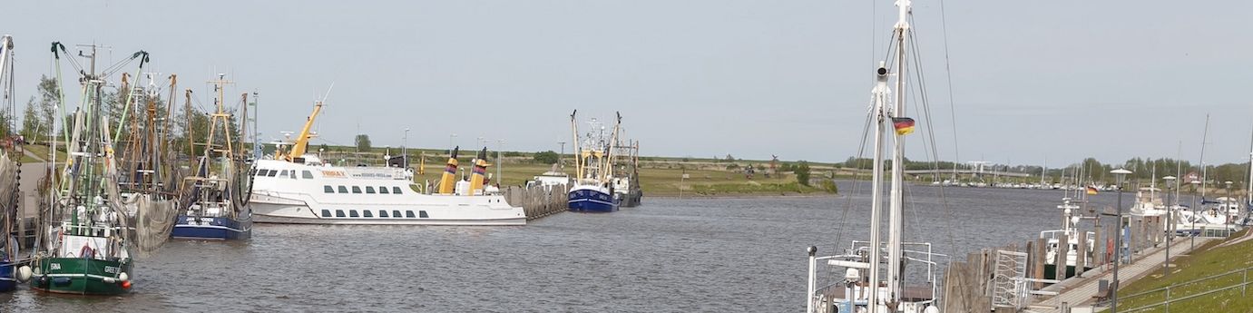 Vertäute Fischerboote am begrünten Ufer.
